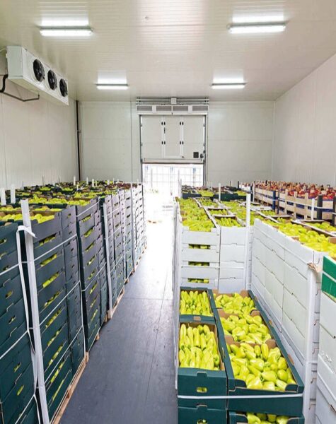 vegetable-cold-rooms